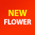 newflower