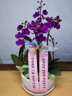 배송사진