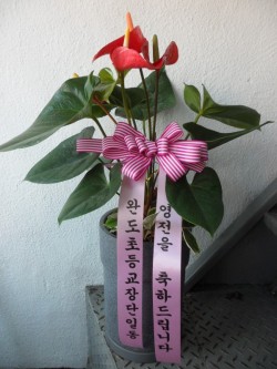 배송사진