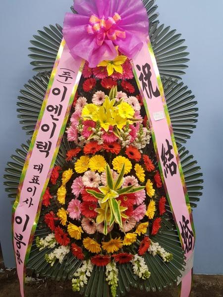 업로드 이미지