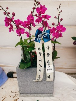 배송사진