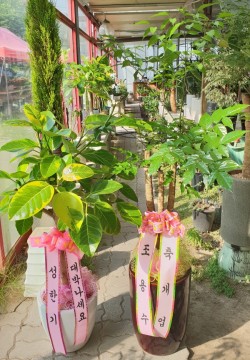 배송사진