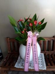 배송사진