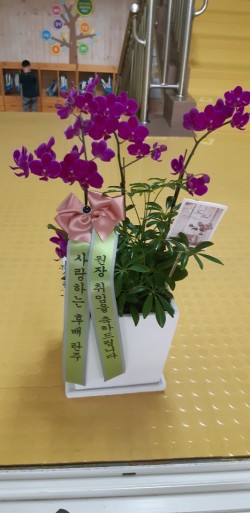 배송사진