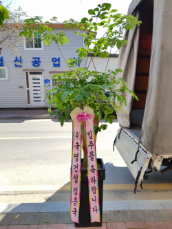 배송사진