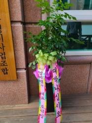 배송사진