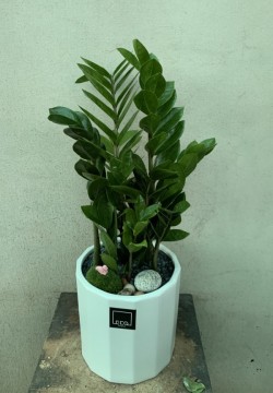배송사진