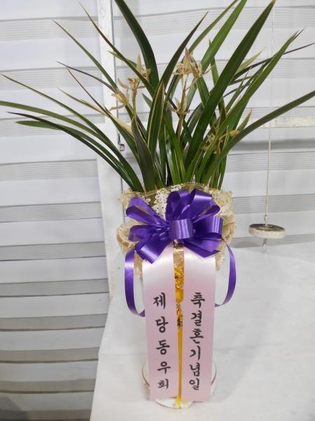 업로드 이미지