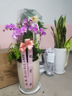 배송사진