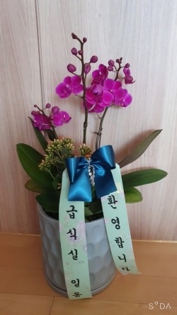 배송사진