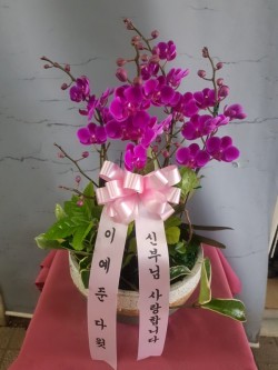 배송사진