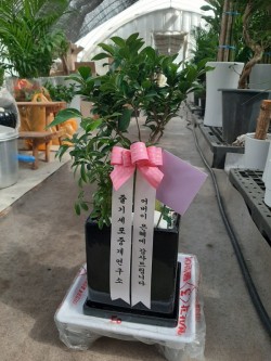 배송사진