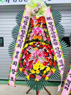 배송사진