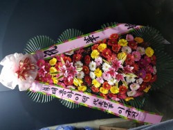배송사진