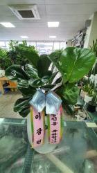 배송사진