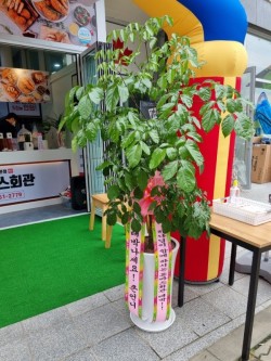 배송사진