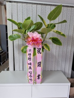 배송사진