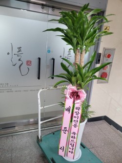 배송사진