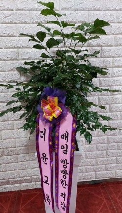 배송사진