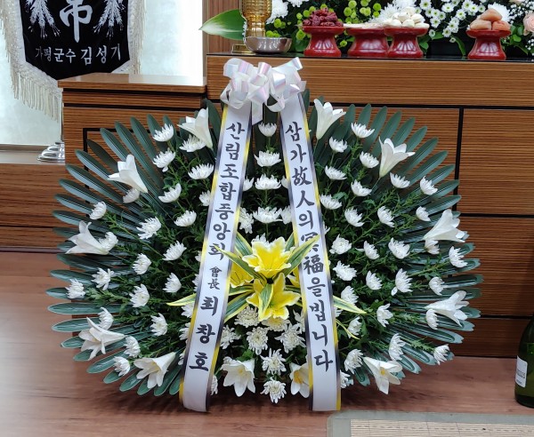 업로드 이미지