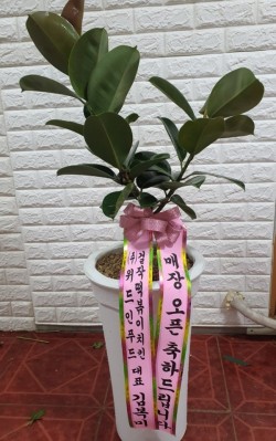 배송사진
