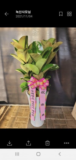 배송사진