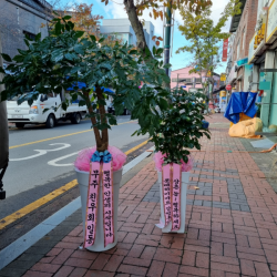 배송사진