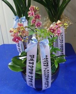 배송사진