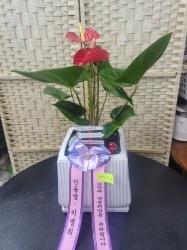 배송사진