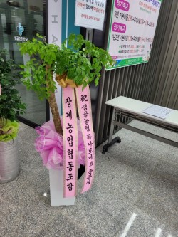배송사진