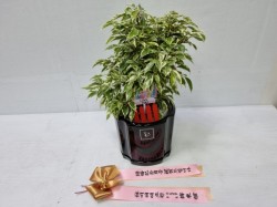 배송사진