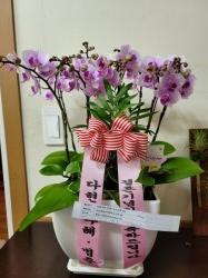 배송사진