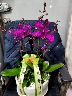 배송사진
