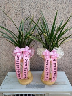 배송사진