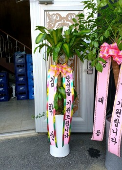 배송사진