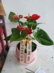배송사진