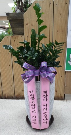 배송사진