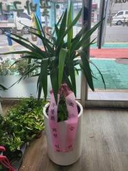 배송사진