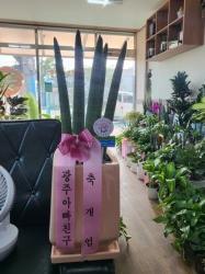 배송사진