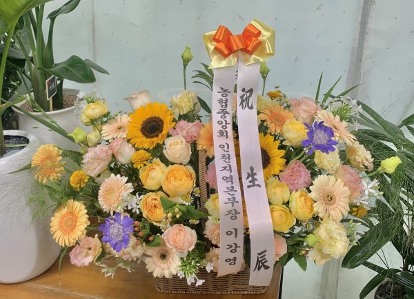 업로드 이미지