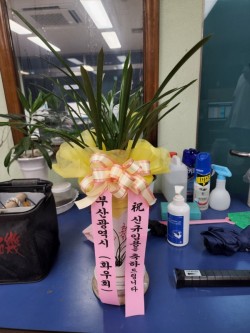 배송사진