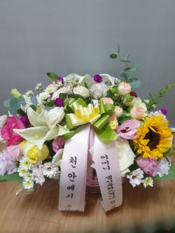 배송사진