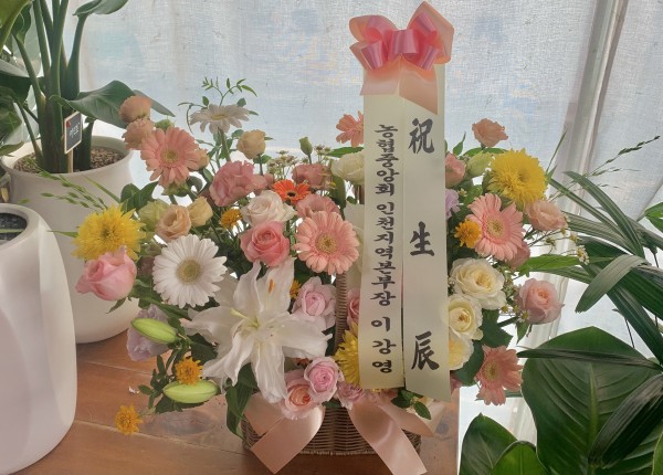 업로드 이미지