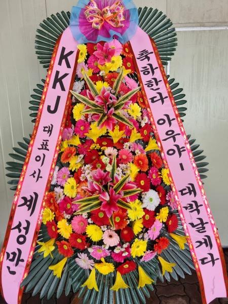 업로드 이미지