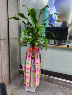 배송사진