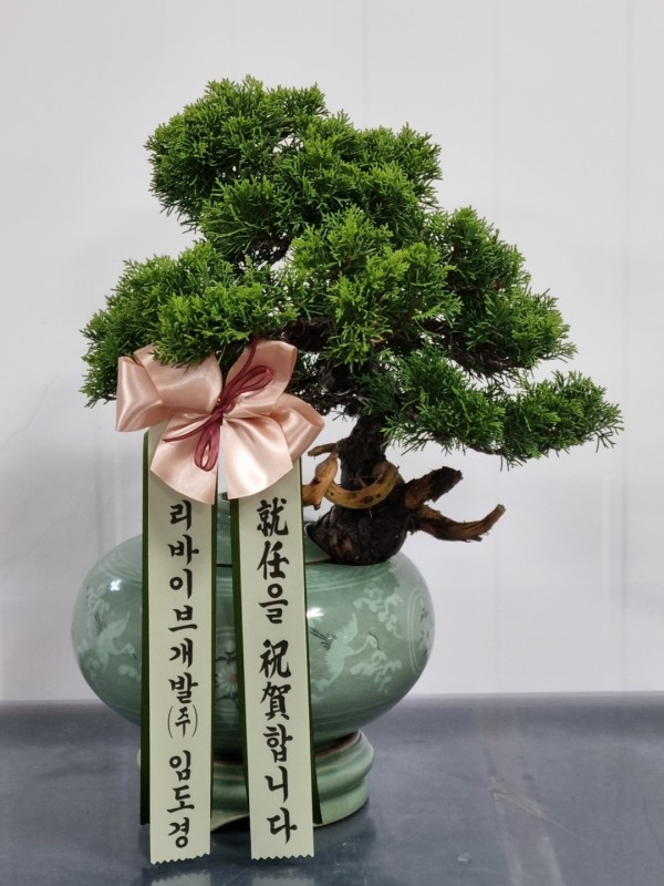 업로드 이미지