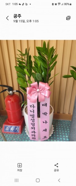 배송사진