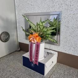 배송사진