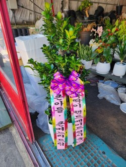 배송사진