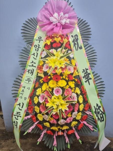 업로드 이미지